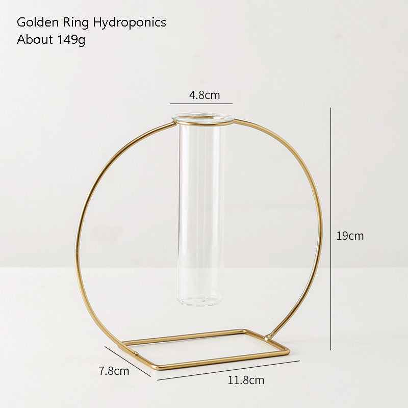 Artistic Geometry Hydroponic Vase - Single circle single tube Decoration - Decoration - Grandior Homes